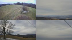 Sdružený snímek Bludný