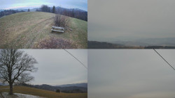 Sdružený snímek Bludný