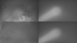 Sdružený snímek Bludný