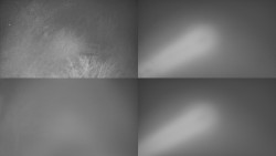 Sdružený snímek Bludný