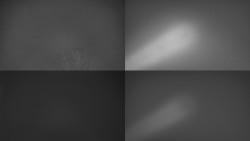 Sdružený snímek Bludný