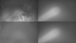 Sdružený snímek Bludný