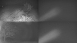 Sdružený snímek Bludný