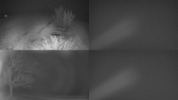 Sdružený snímek Bludný