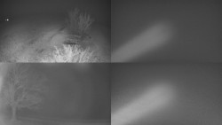 Sdružený snímek Bludný