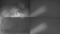 Sdružený snímek Bludný