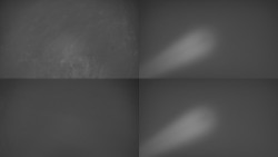 Sdružený snímek Bludný