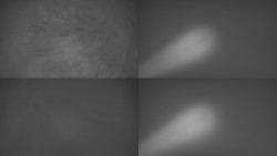 Sdružený snímek Bludný