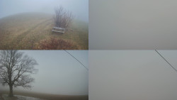 Sdružený snímek Bludný