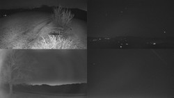 Sdružený snímek Bludný