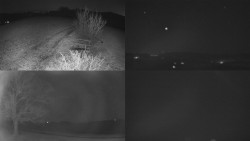 Sdružený snímek Bludný