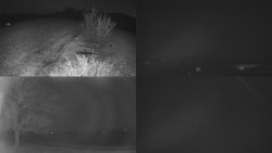 Sdružený snímek Bludný