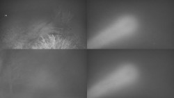 Sdružený snímek Bludný