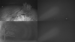 Sdružený snímek Bludný