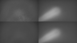 Sdružený snímek Bludný