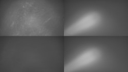 Sdružený snímek Bludný