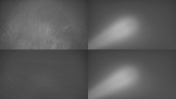 Sdružený snímek Bludný