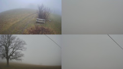 Sdružený snímek Bludný