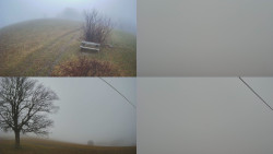 Sdružený snímek Bludný