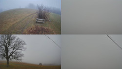 Sdružený snímek Bludný