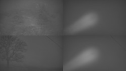 Sdružený snímek Bludný