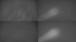 Sdružený snímek Bludný