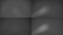 Sdružený snímek Bludný