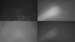 Sdružený snímek Bludný