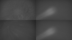 Sdružený snímek Bludný