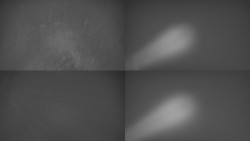 Sdružený snímek Bludný