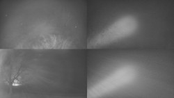 Sdružený snímek Bludný