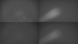 Sdružený snímek Bludný