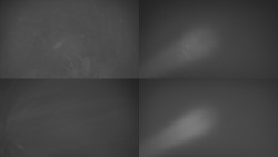 Sdružený snímek Bludný