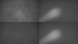 Sdružený snímek Bludný