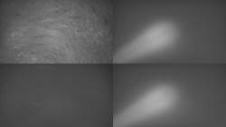 Sdružený snímek Bludný