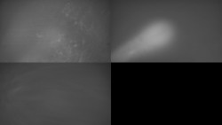 Sdružený snímek Bludný