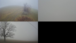 Sdružený snímek Bludný