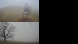 Sdružený snímek Bludný