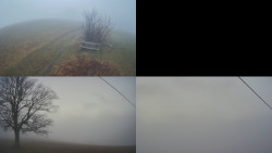 Sdružený snímek Bludný