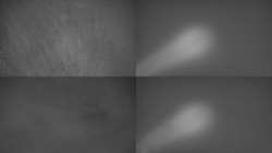 Sdružený snímek Bludný