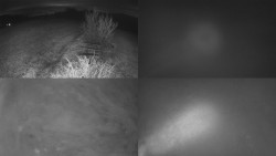 Sdružený snímek Bludný