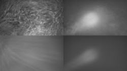 Sdružený snímek Bludný