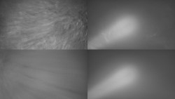 Sdružený snímek Bludný