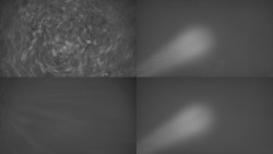 Sdružený snímek Bludný