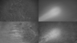 Sdružený snímek Bludný