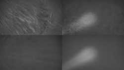 Sdružený snímek Bludný