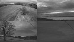 Sdružený snímek Bludný