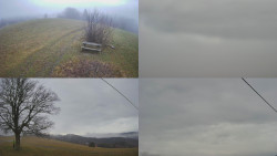 Sdružený snímek Bludný