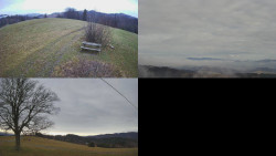 Sdružený snímek Bludný