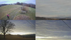 Sdružený snímek Bludný